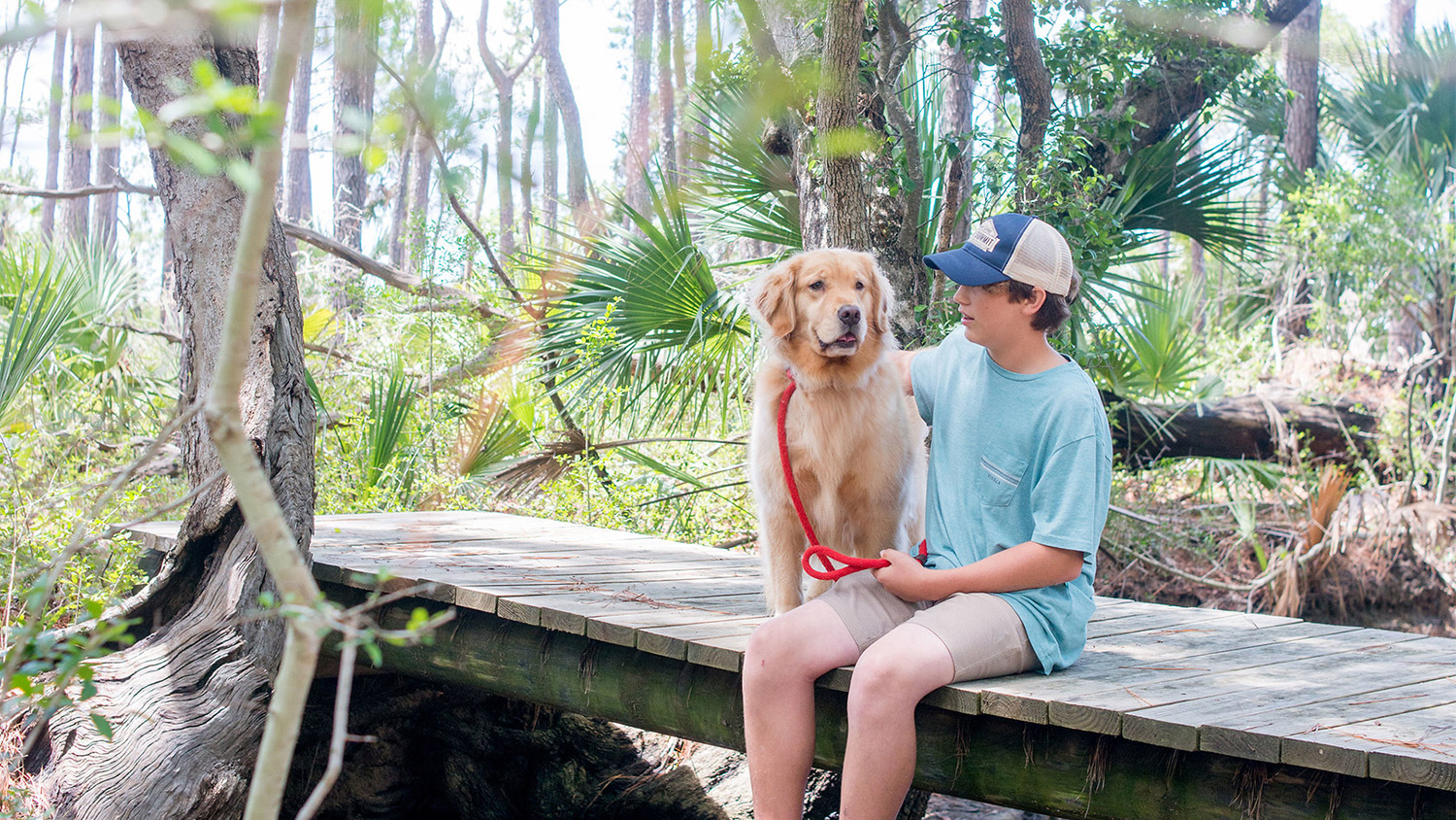 Boy and dog on dock